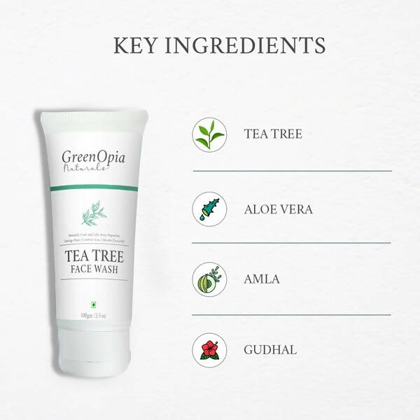 GreenOpia Naturals Tea Tree Face Wash