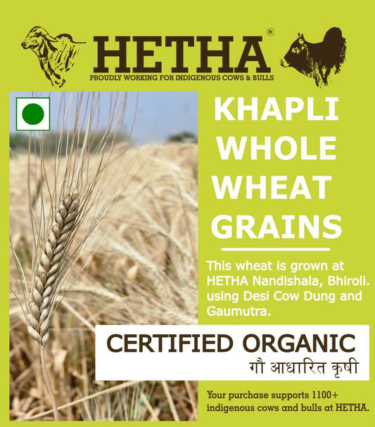 Hetha Khapli Whole Wheat Grains - Certified Organic by ECOCERT