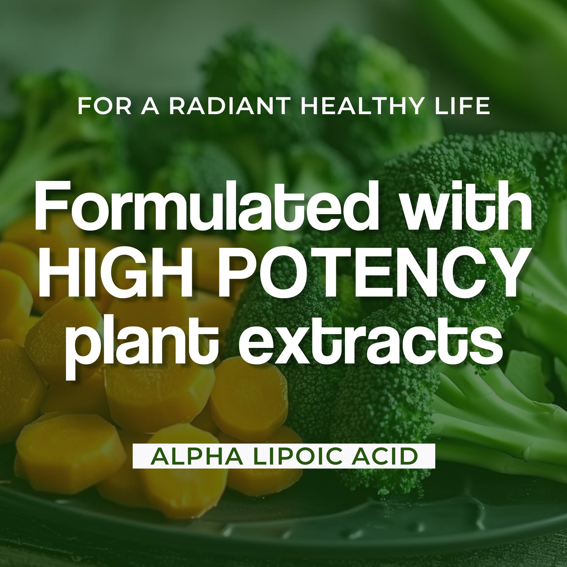 Health Veda Organics Alpha Lipoic Acid Capsules