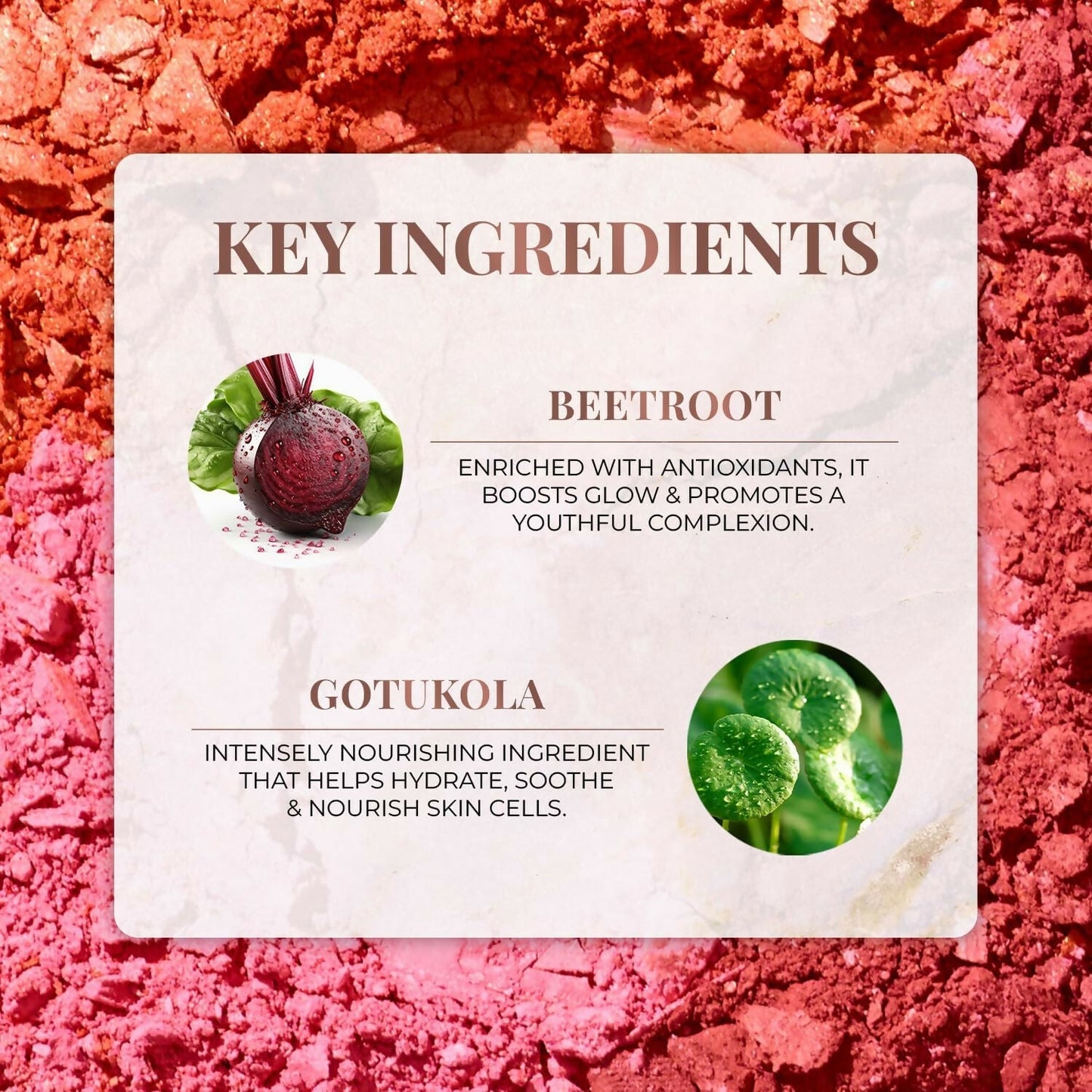 just herbs nourishing powder blush velvet rose buy in usa