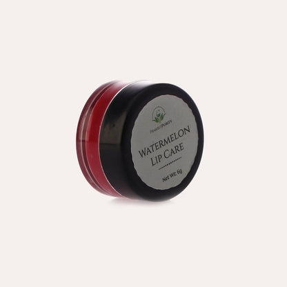 Buy PrakritPurity Watermelon Lip Care from DrMediCart, Ship from India to USA