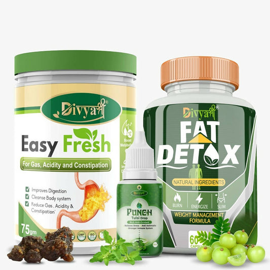 Divya Shree Fat Detox Capsule + Easy Fresh Powder & Punch Tulsi Drop Gas Combo Kit