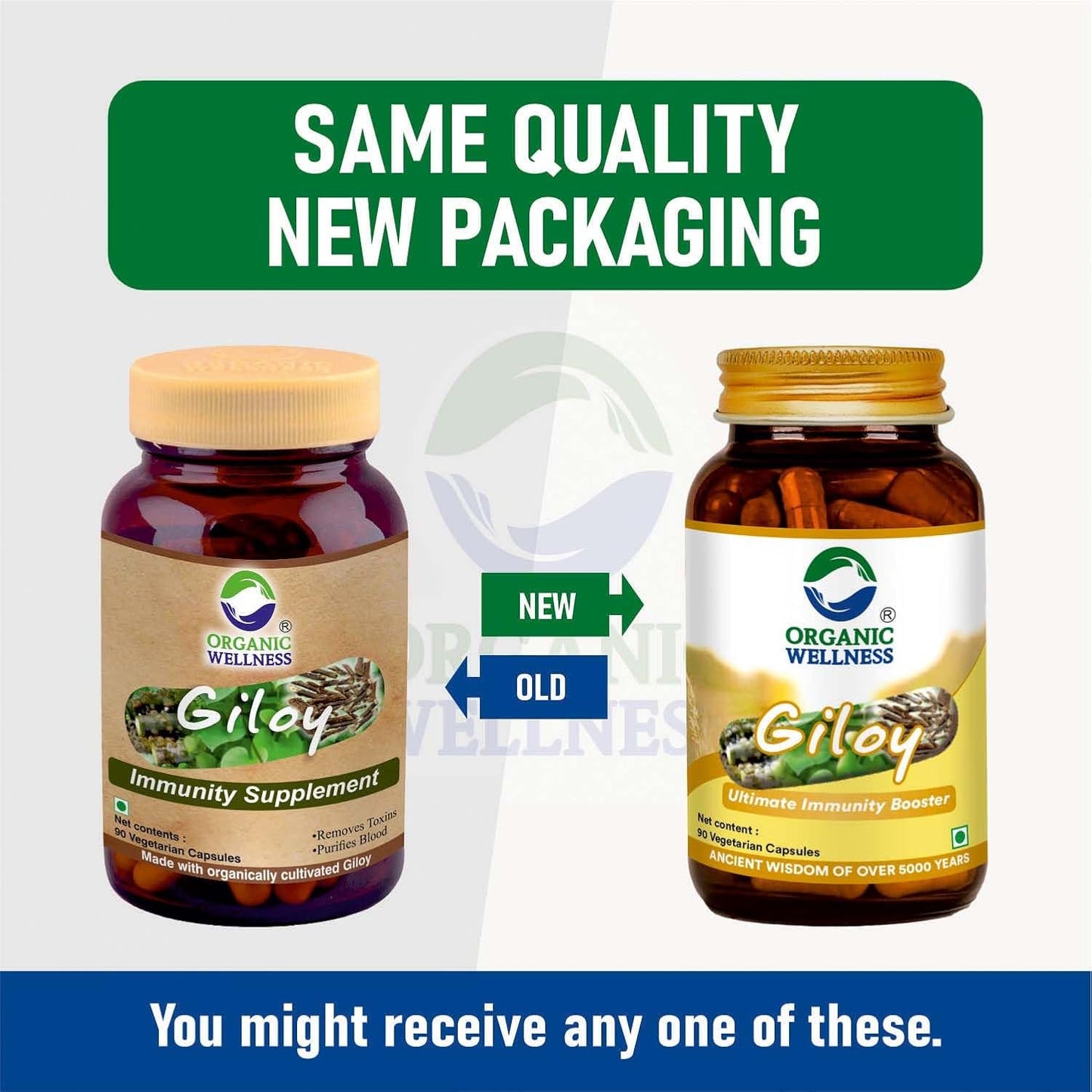 Organic Wellness Giloy Capsules