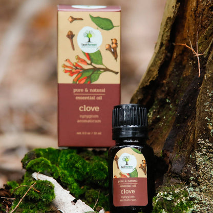 Lastforest Therapeutic Essential Oil Clove