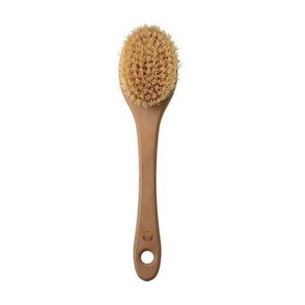 Buy The Body Shop Long Handled Cactus Bath Brush from DrMediCart, Ship from India to USA