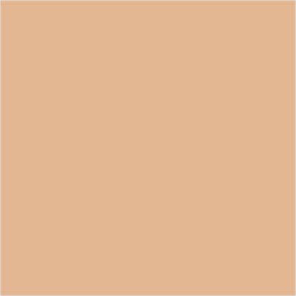 Colorbar 24Hrs Wear Weightless Powder Foundation Pf 6