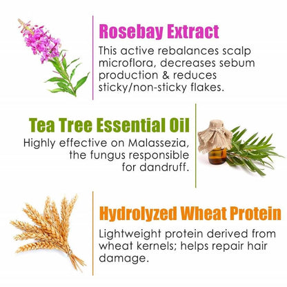 Wow Skin Science Rosebay Extract & Tea Tree Essential Oil Anti-Dandruff Hair Mask