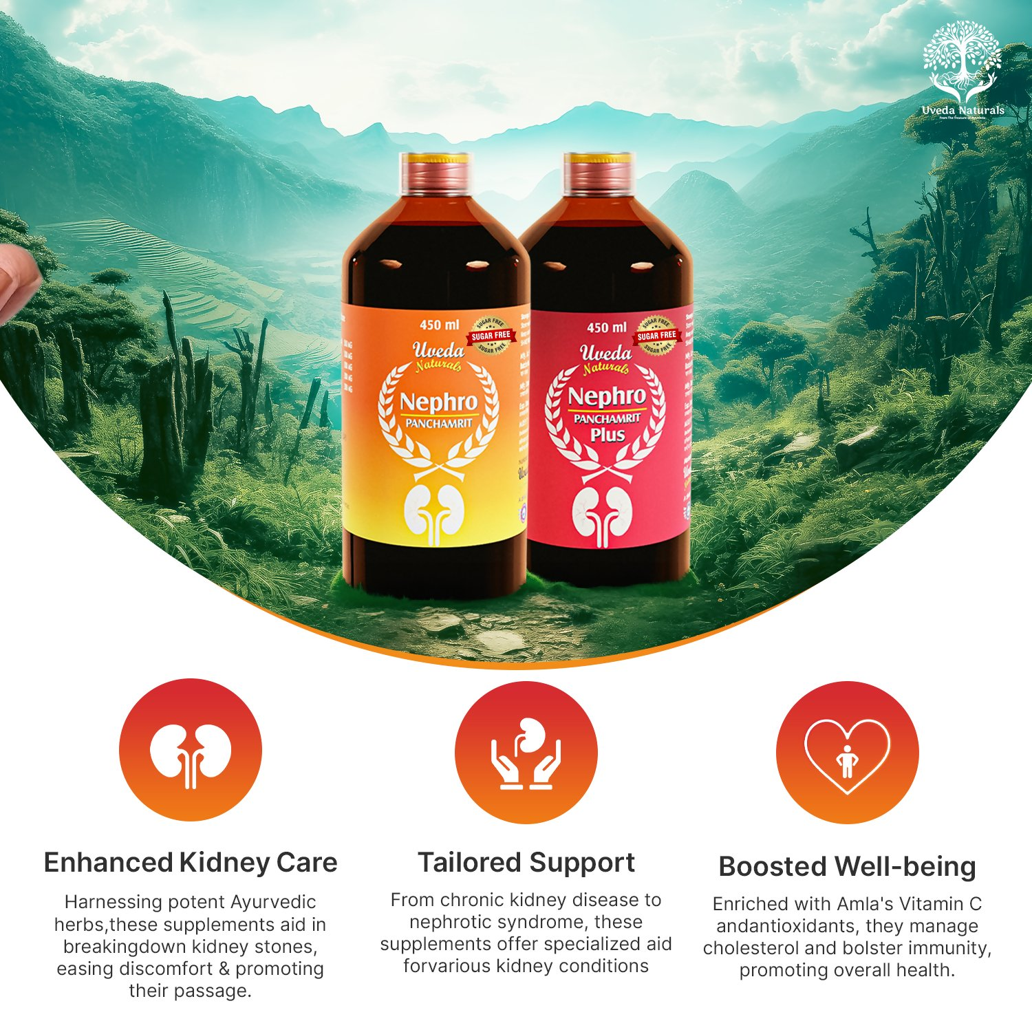 Uveda Naturals Nephro Panchamrit and Nephro Panchamrit Plus Sugar Free Combination
