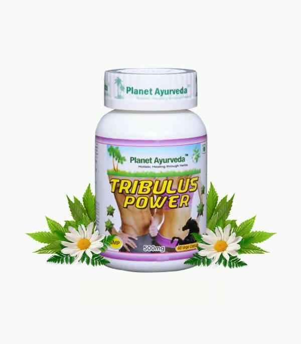 Planet Ayurveda Gokshura Power