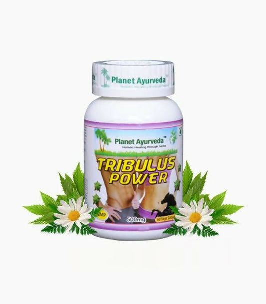Planet Ayurveda Gokshura Power