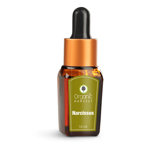 Buy Organic Harvest Narcissus Essential Oil from DrMediCart, Ship from India to USA