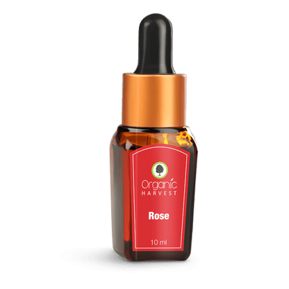 Buy Organic Harvest Rose Essential Oil from DrMediCart, Ship from India to USA