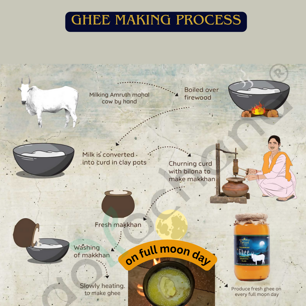 Tatsat Full Moon Day Ghee From Forest Gazing Amruth Mahal A2 Cows | Indian Hallikar Cow Ghee, Pure A2 Ghee, Natural & Healthy, Non-GMO