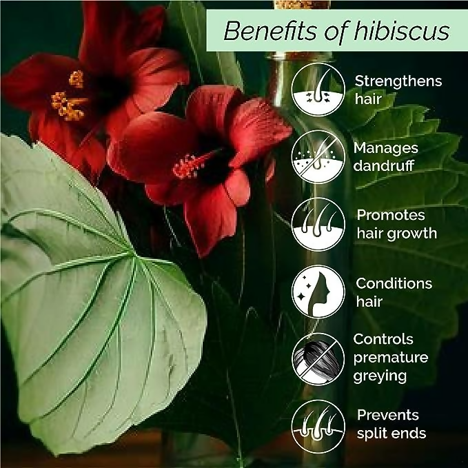 Pyoura Hibiscus Hair Mist Spray For Itchy Dry Scalp & Dandruff Non-Oily Heat Protection Hair Mist Tonic Supports Hair Growth