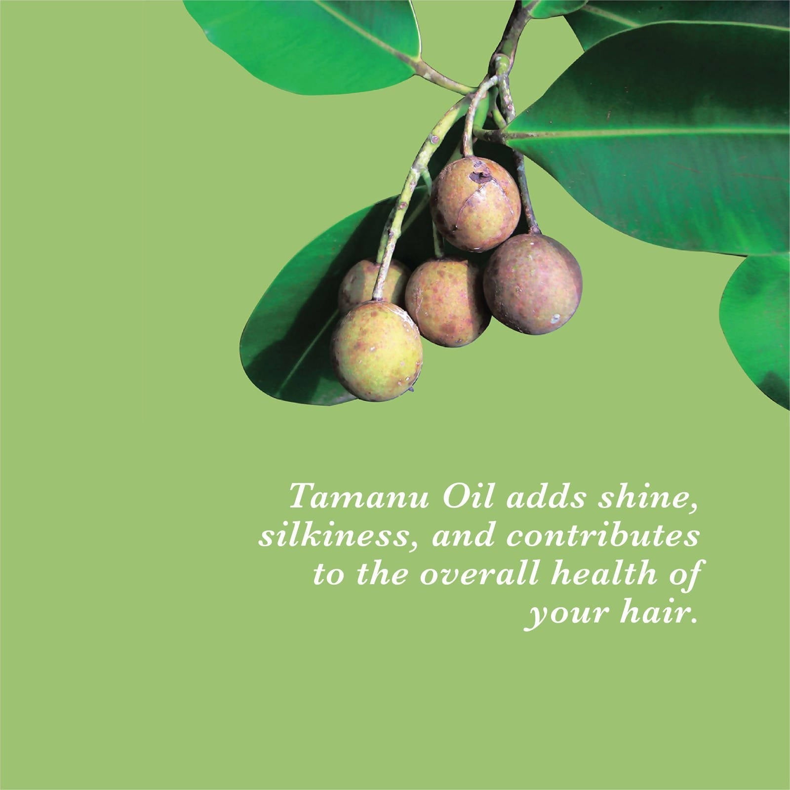 True Frog Everyday Hair Conditioner - Drmedicart