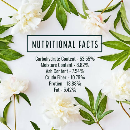 Ayurvedashree Cissus 500mg Capsules