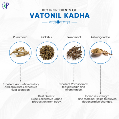 Pathak Ayurvedic Pharmacy Vatonil Kadha