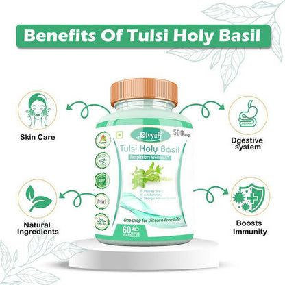 Divya Shree Tulsi Holy Basil Veggie Capsules