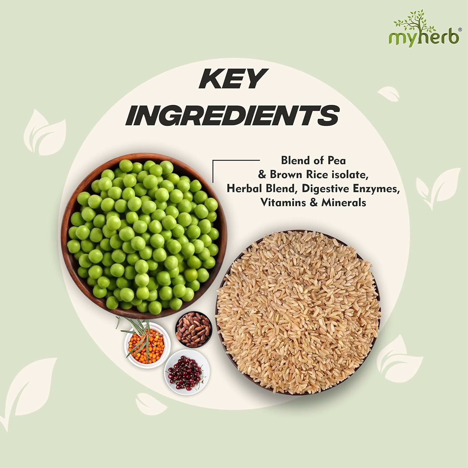 Myherb Plant Protein Powder, Pea And Brown Rice Protein Powder - Chocolate Flavour