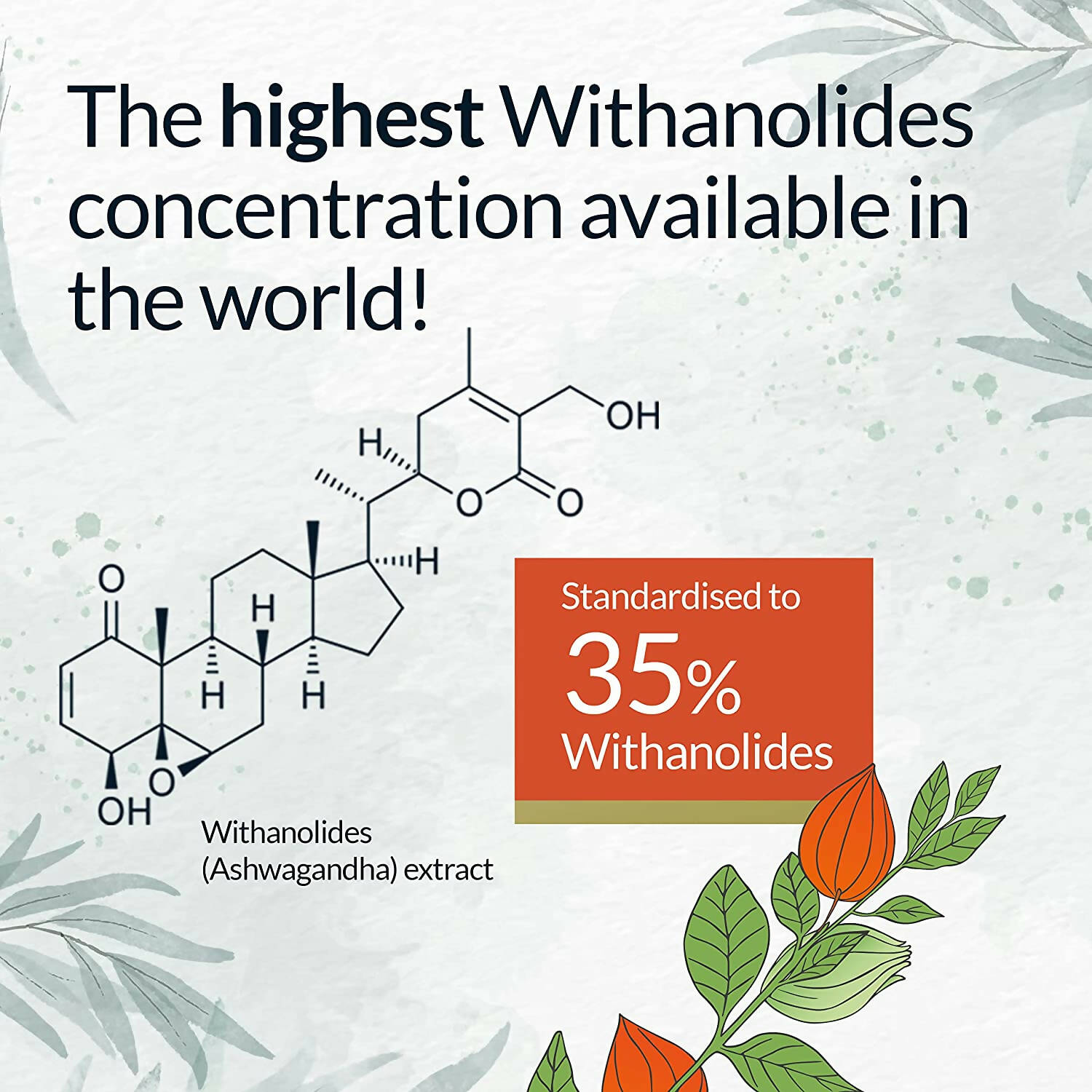 Yogic Secrets Ashwagandha Capsules