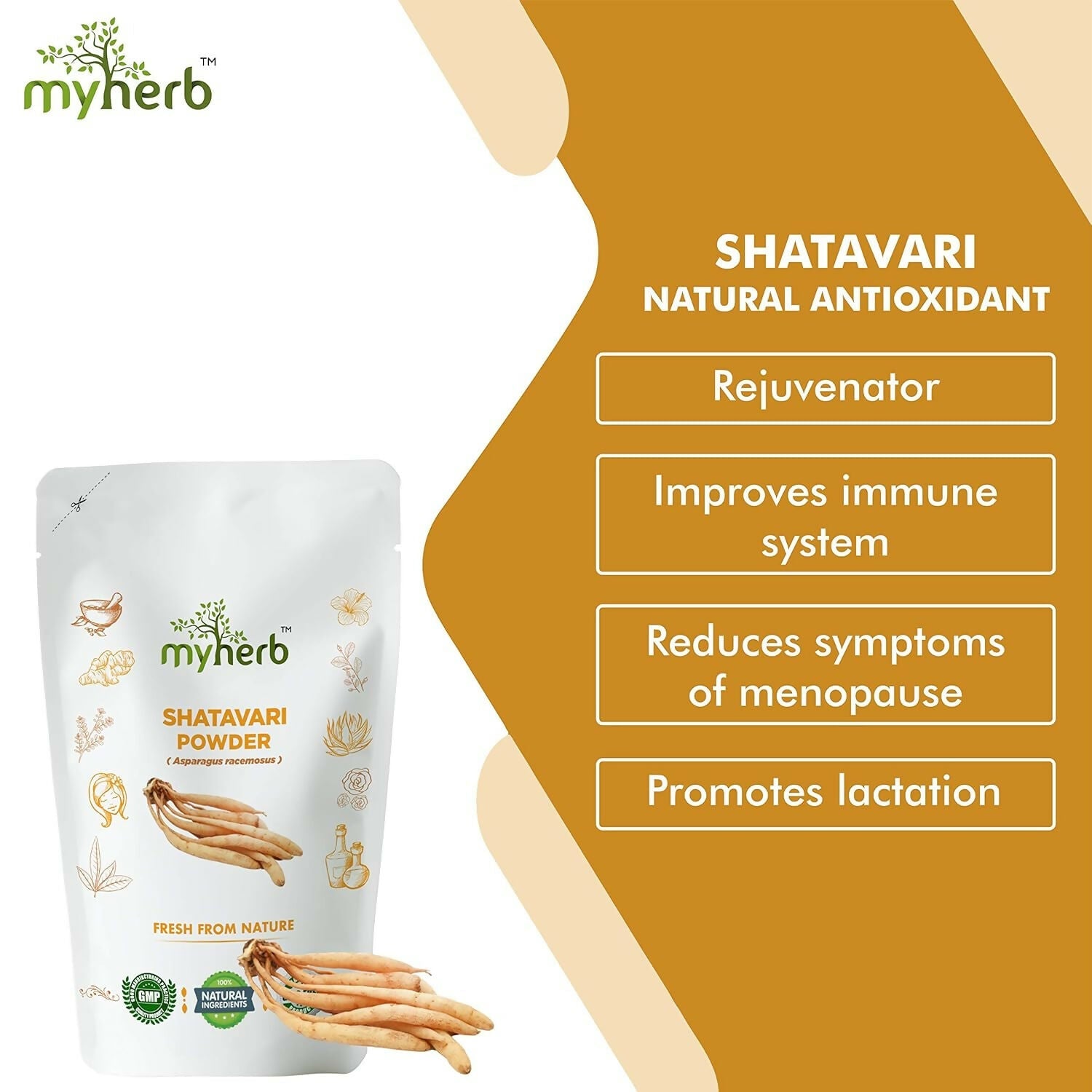 Myherb Natural Organic Shatavari Powder