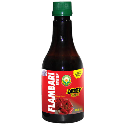 Basic Ayurveda Flambari Syrup - Orange Flavor