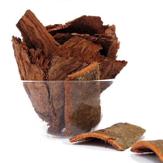 Buy Arasam Pattai (Sacred Fig Bark)  -  100% Natural Herbal Remedy for Health & Wellness from DrMediCart, Ship from India to USA