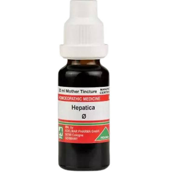 Buy Adel Homeopathy Hepatica Mother Tincture Q from DrMediCart, Ship from India to USA