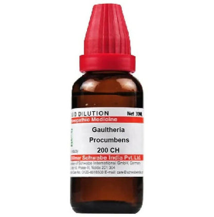 Dr. Willmar Schwabe India Gaultheria Procumbens Dilution