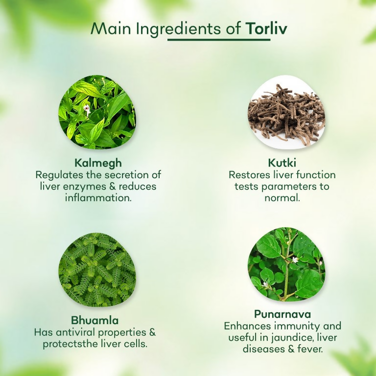 Torque's Torliv Ayurvedic Syrup