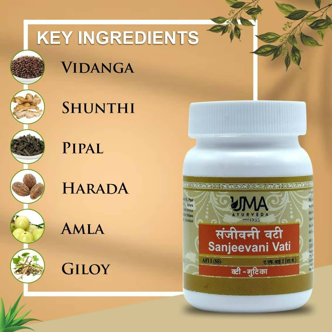 Uma Ayurveda Sanjeevani Vati