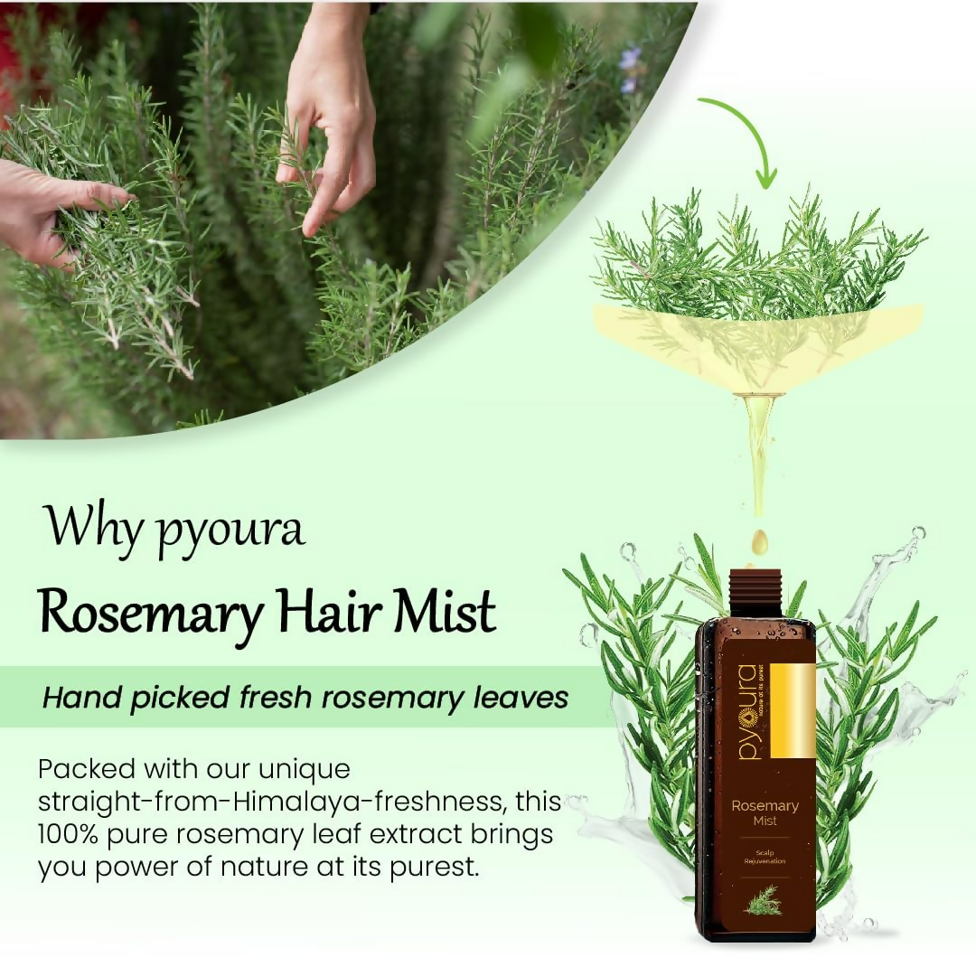 Pyoura Rosemary Water Spray For Hair Fall Control Natural Non-Greasy Heat Protection Serum Mist Toner