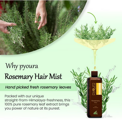 Pyoura Rosemary Water Spray For Hair Fall Control Natural Non-Greasy Heat Protection Serum Mist Toner