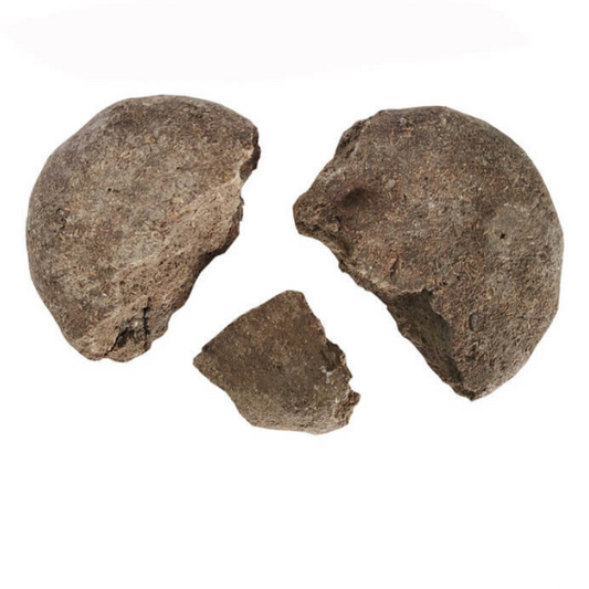 Mattippaal (Raw)  -  100% Natural & Traditional Remedy