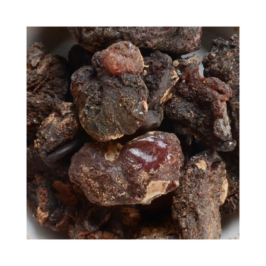 Buy Murungai Pisin (Drumstick Tree Resin)  -  100% Natural Herbal Gum from DrMediCart, Ship from India to USA
