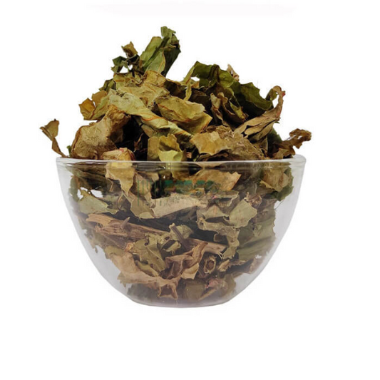 Buy Sangu Narayana Sanjivi Ver (Malabar Begonia Root)  -  100% Organic from DrMediCart, Ship from India to USA