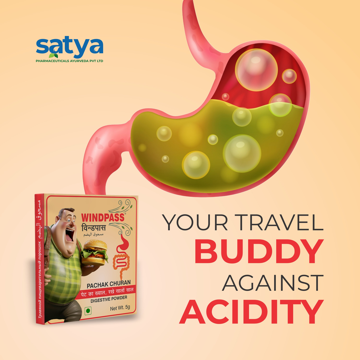Satya Pharmaceuticals Ayurveda Windpass Pachak Churan Sachet