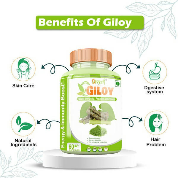 Divya Shree Giloy Capsules