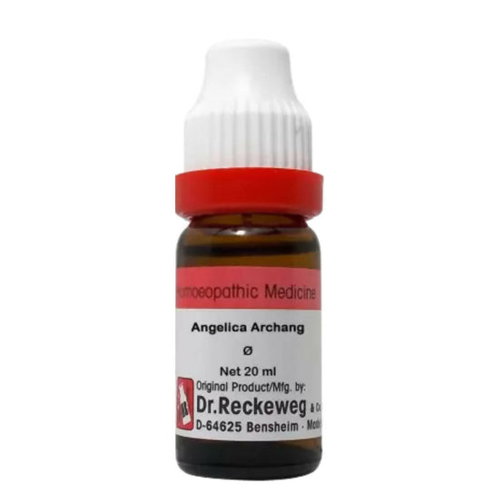 Buy Dr. Reckeweg Angelica Archang Mother Tincture Q from DrMediCart, Ship from India to USA