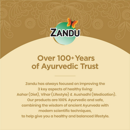 Zandu Kesari Jivan Dry Fruits Chyawanprash
