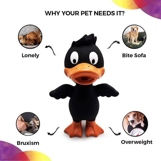 Goofy Tails Latex Dog Toys Duck  - Black
