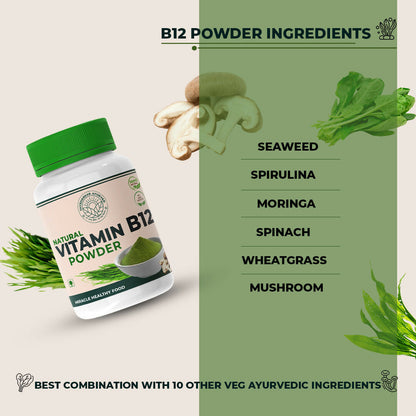 Jayshankar Ayurved Vitamin B12 Green Food Powder
