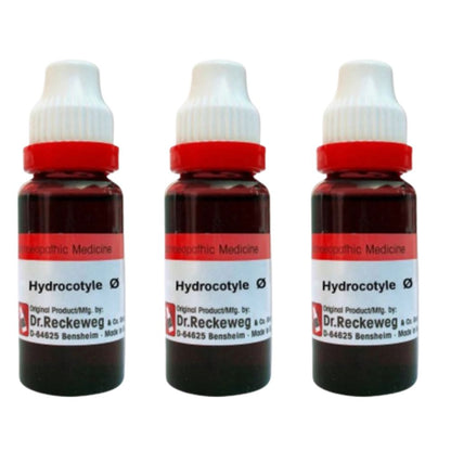 Dr. Reckeweg Hydrocotyle Asiat Mother Tincture Q