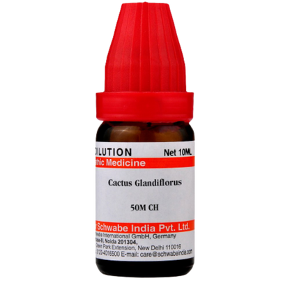 Dr. Willmar Schwabe India Cactus Glandiflorus Dilution