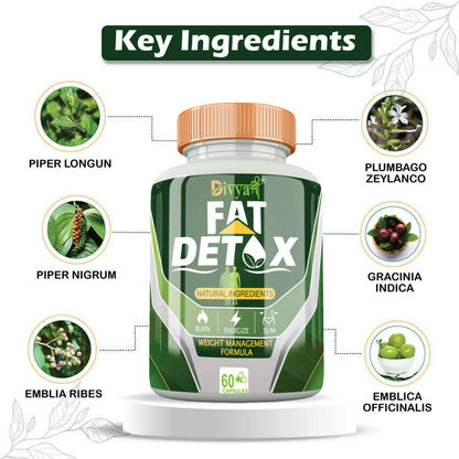 Divya Shree Fat Detox Capsules