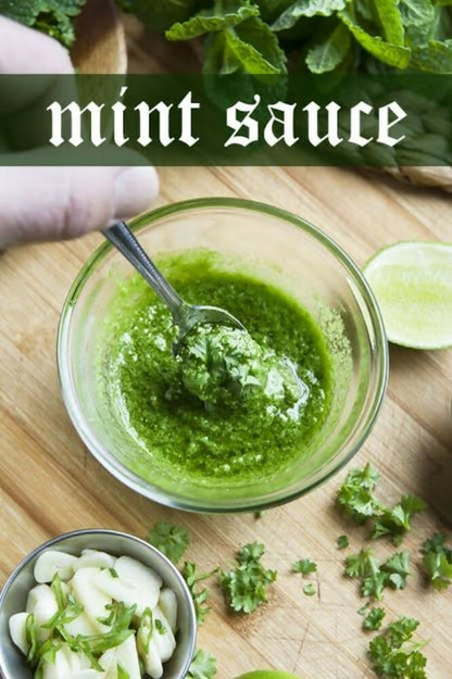 Shuddh Natural Mint Powder - Aromatic Flavor