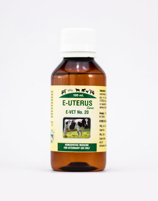 Buy Excel Pharma E-Uterus Syrup