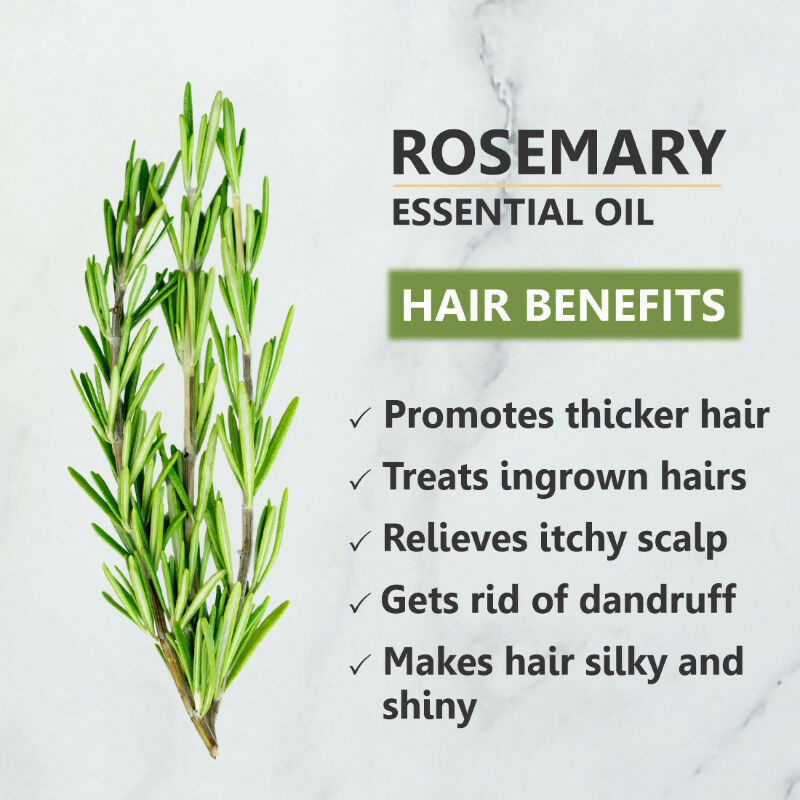 Skiura Nature Rosemary Essential Oil For Hair Growth