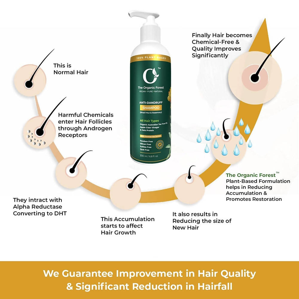 The Organic Forest Anti-Dandruff Shampoo - Drmedicart