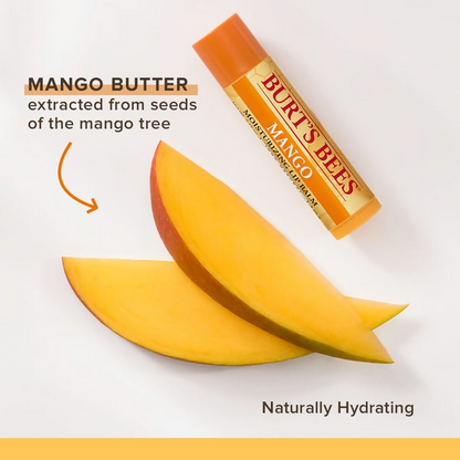 Burt's Bees Natural Moisturizing Lip Balms (Coconut & Pear and Mango)